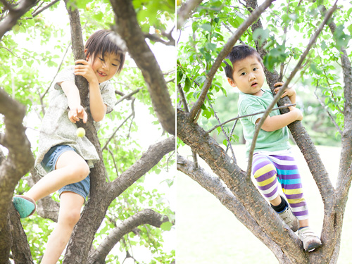 木登りをする姉弟