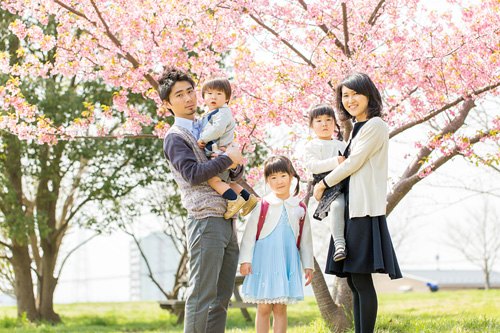 桜の下での家族写真