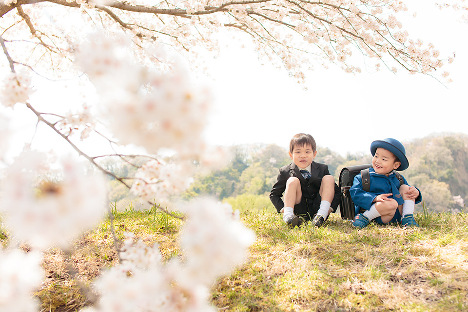 桜の下で楽しそうな兄弟